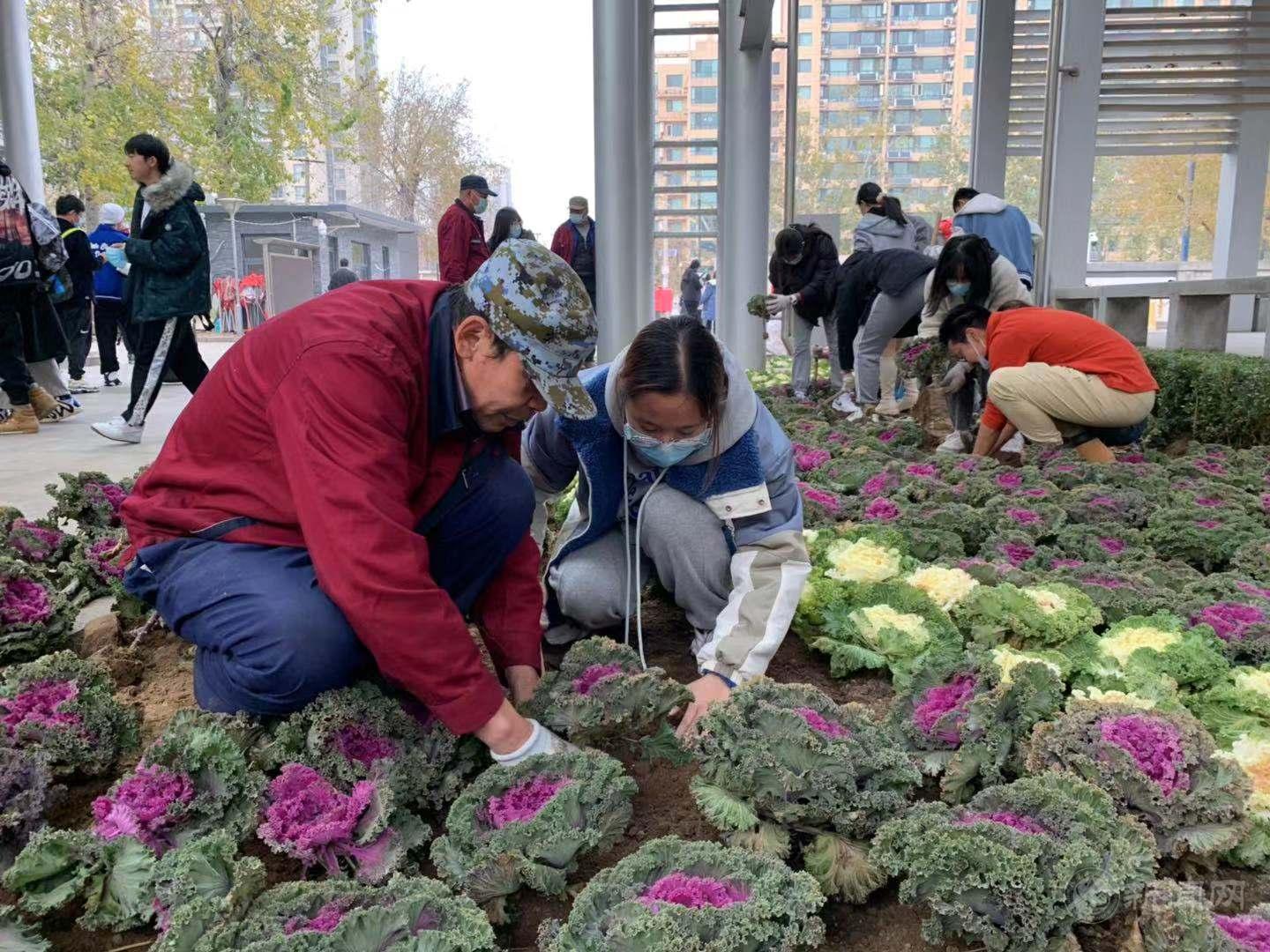 9e3e0f8f60594a42d864bce8daae4e7.jpg 9e3e0f8f60594a42d864bce8daae4e7.jpg